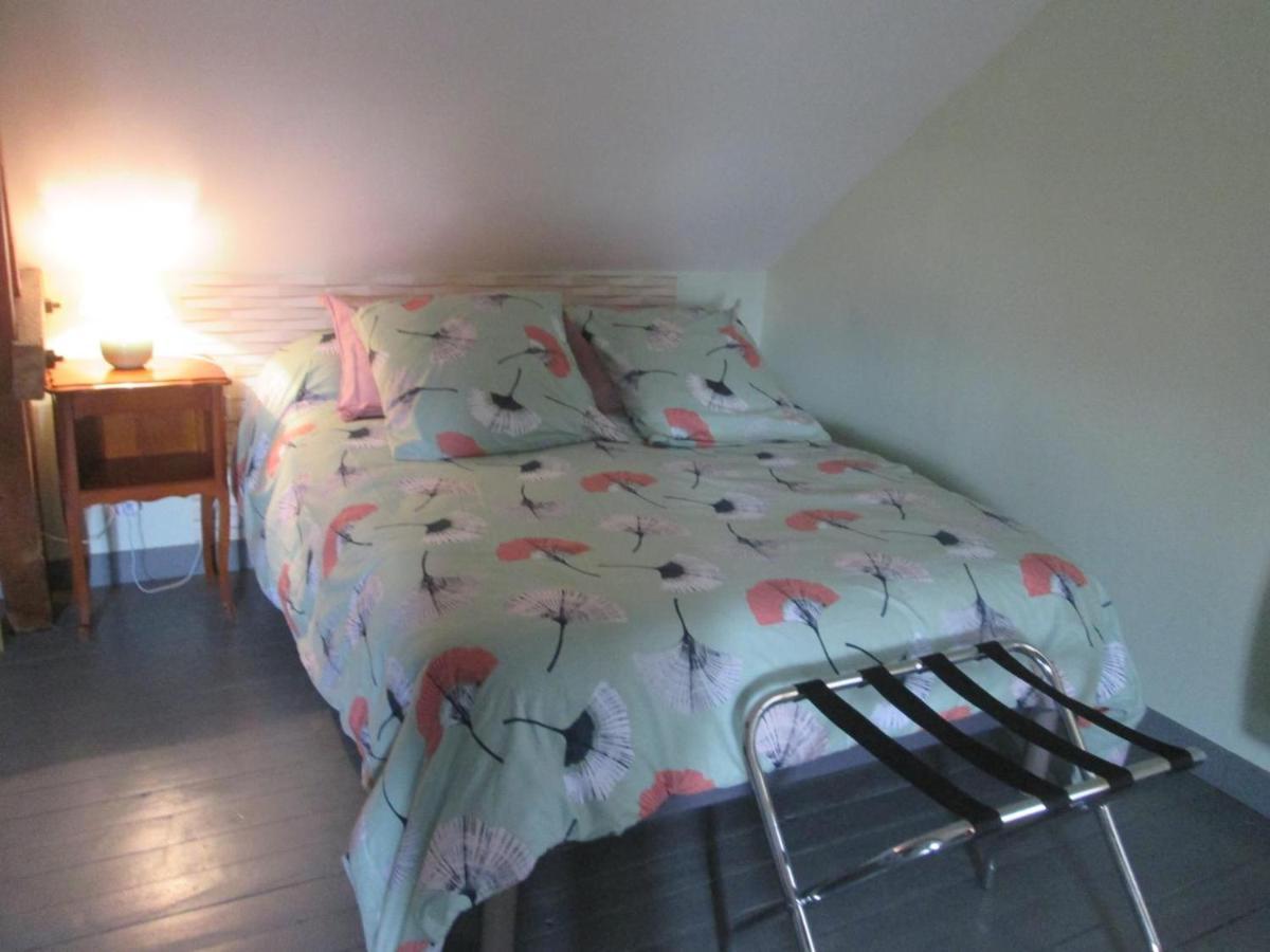 Gite Tout Confort A Molinet, Climatise, Avec Cour Close Et Proche De La Voie Verte ! - Fr-1-489-253 Bagian luar foto